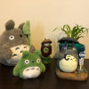 Totoro@CJ的头像