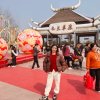 金旺兰草的头像