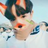安♡生的头像