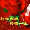 情缘的头像