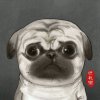 慧心的头像