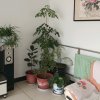 金海的头像