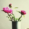 二姐＆的头像