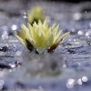 心雨的头像