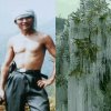 T二的头像