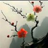 天职的头像