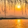 木鱼沧桑的头像