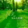 阳光的头像