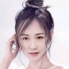 知音歌乐的头像