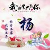 蝶恋花的头像