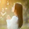 清清幽兰 停币 的头像