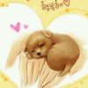 冰霜冷月的头像