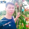种好卖好，上农財宝。的头像