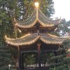 平安幸福的头像