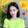 玫瑰花的头像