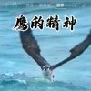 四季平安的头像
