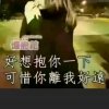 秦新雲的头像
