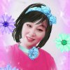 蝶恋花的头像