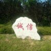 诚信的头像
