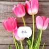 老孔的头像