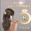 歌声的翅膀的头像