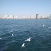 海纳百川的头像