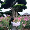 阳光的头像