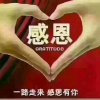 红玫瑰的头像