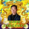 新龙最在乎的你的头像