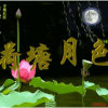 荷塘月色的头像