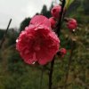  相知相惜 的头像