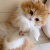 馨苑的头像