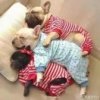 芒果的头像