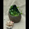怒的头像
