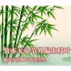 文明礼貌的头像