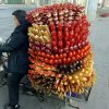太阳的头像