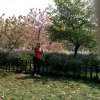 郑亚东的头像