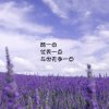 薰衣草的头像