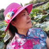 梅子的头像