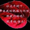 男人如烟的头像