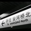 红绳儿的头像