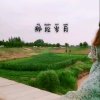 美好记忆的头像