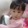 小宝贝的头像