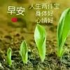 无悔的头像