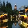 星月的头像