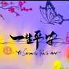 红格格 的头像