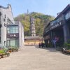 无忧的头像