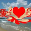 心雨的头像