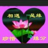 ༄ཉི༗࿆荷花ཉི༗࿆࿐的头像