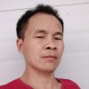 巜顺其自然》的头像